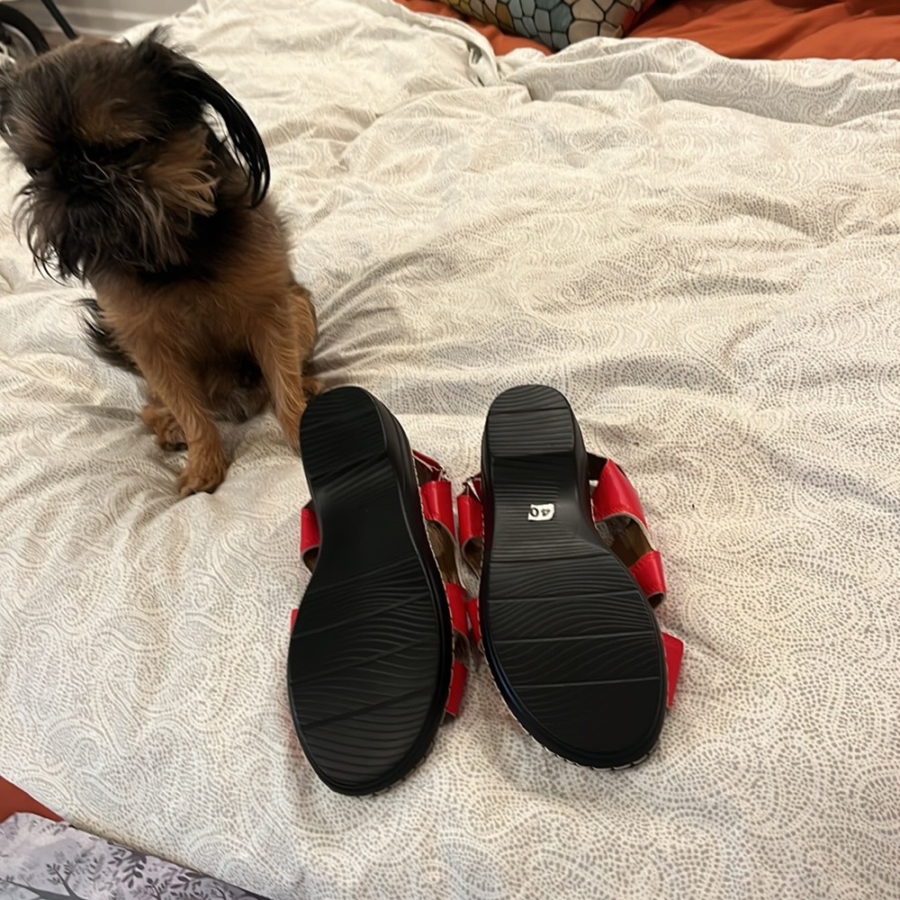 Shoes - Picture 2 of 3